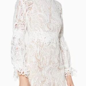 Elliatt White Lace Long Sleeve Dress